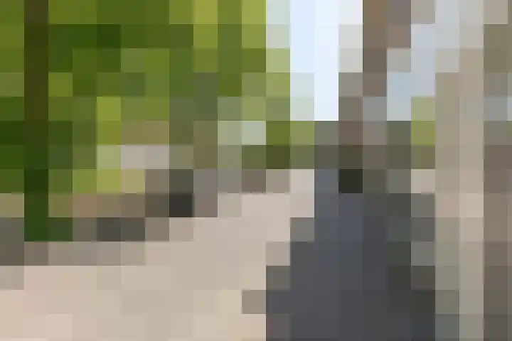 Zuidsingel 7 B Amersfoort thumbnail 5