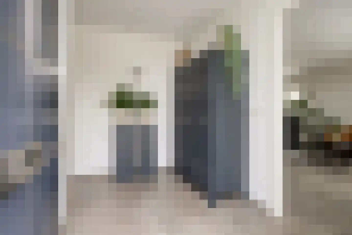 Zuidsingel 7 Maasbracht thumbnail 17