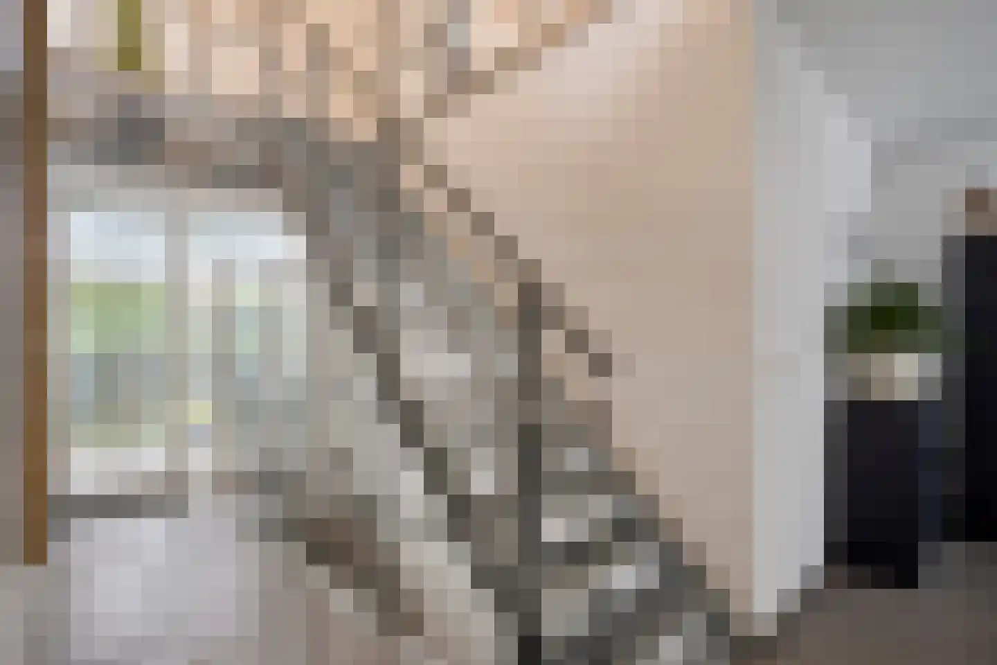 Zuidsingel 7 Maasbracht thumbnail 21