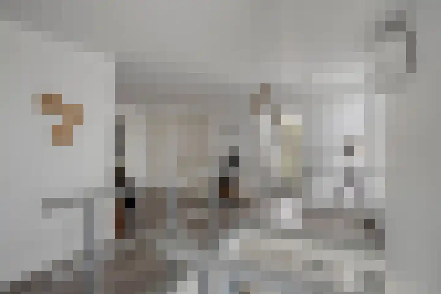 Zuidsingel 7 Maasbracht thumbnail 23