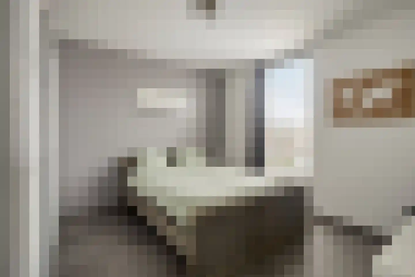 Zuidsingel 7 Maasbracht thumbnail 25