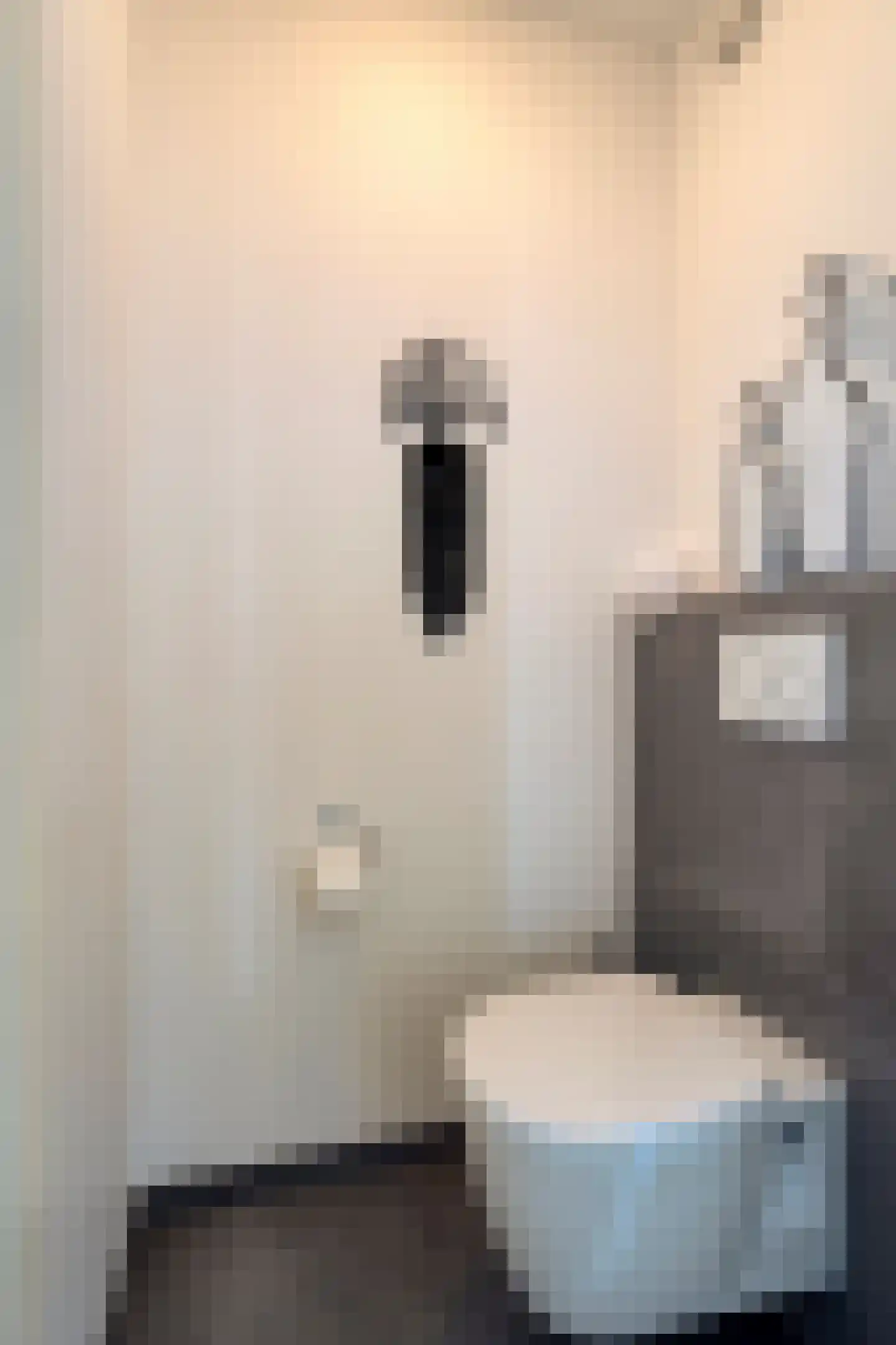 Zuidsingel 7 Maasbracht thumbnail 35