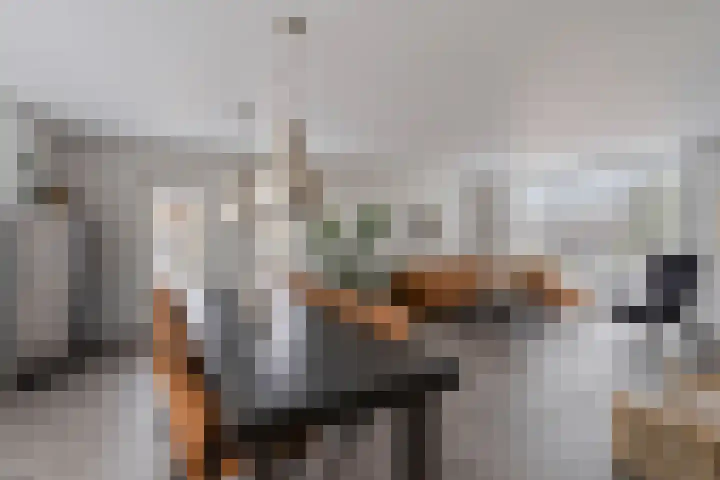 Zuidsingel 7 Maasbracht thumbnail 4