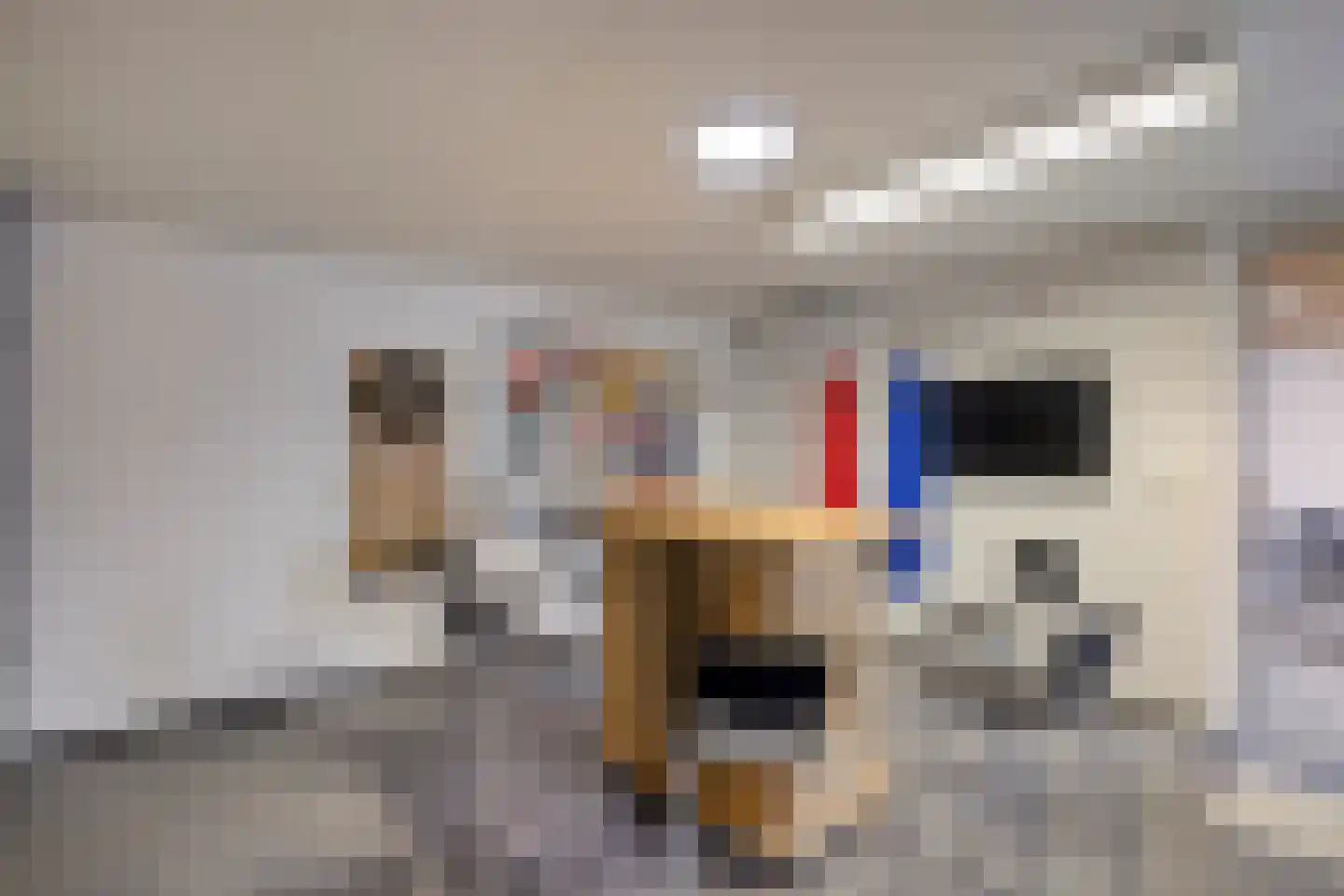 Zuidsingel 7 Maasbracht thumbnail 40