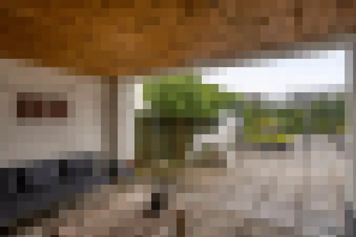 Zuidsingel 7 Maasbracht thumbnail 46