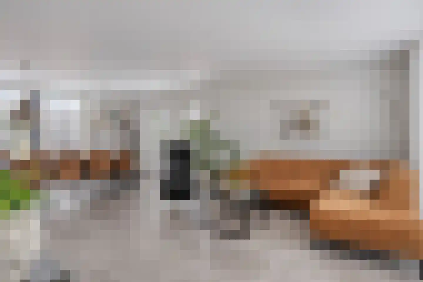 Zuidsingel 7 Maasbracht thumbnail 5