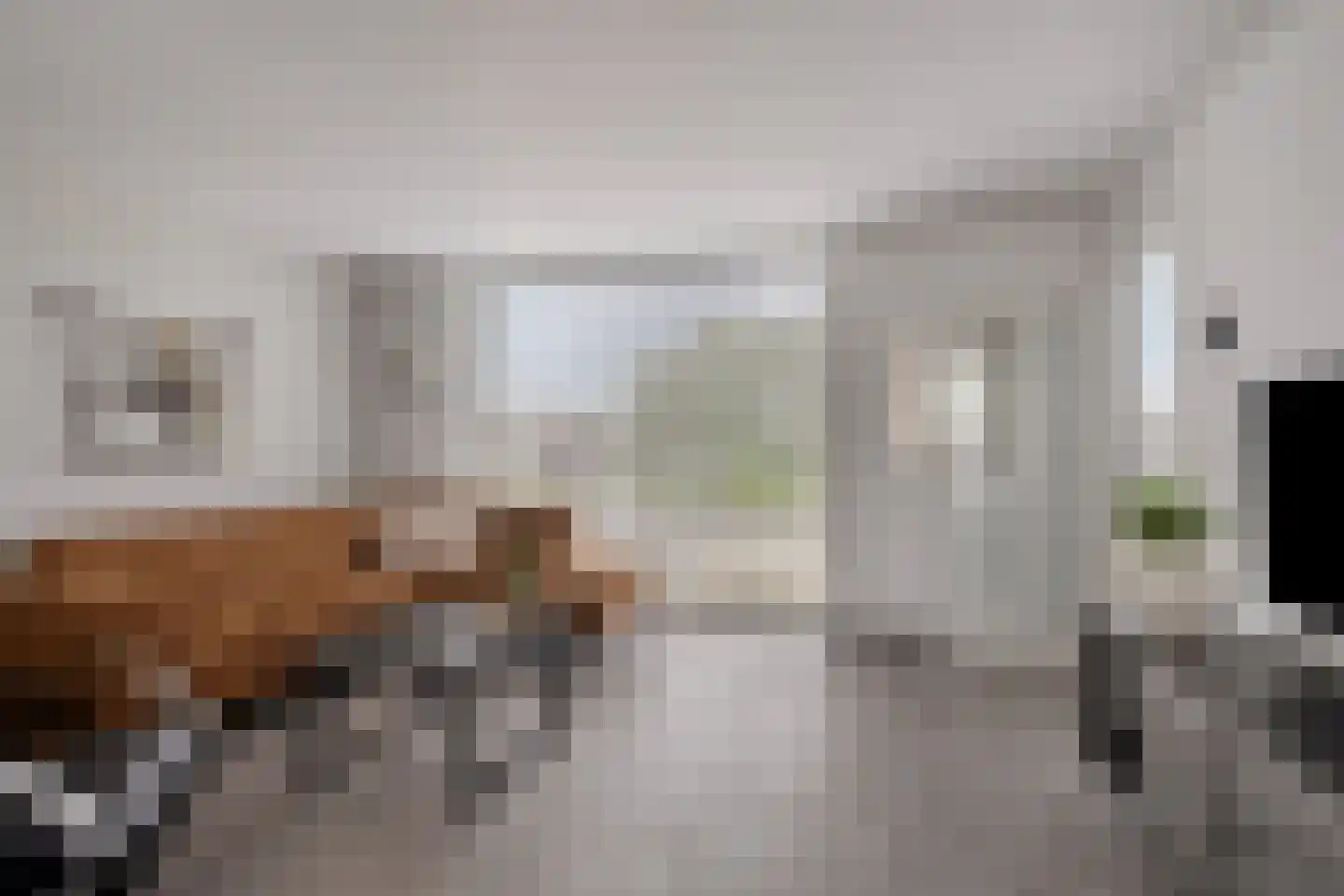 Zuidsingel 7 Maasbracht thumbnail 6