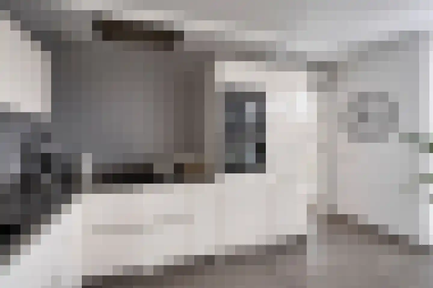 Zuidsingel 7 Maasbracht thumbnail 9