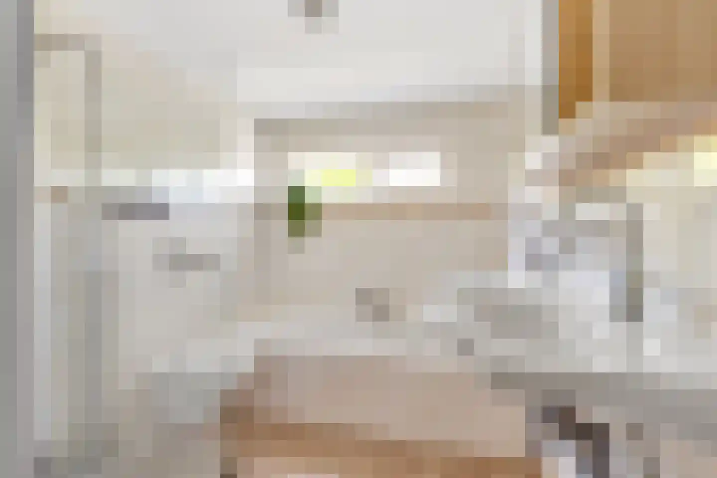 Zuidsingel 91 Kortenhoef thumbnail 18