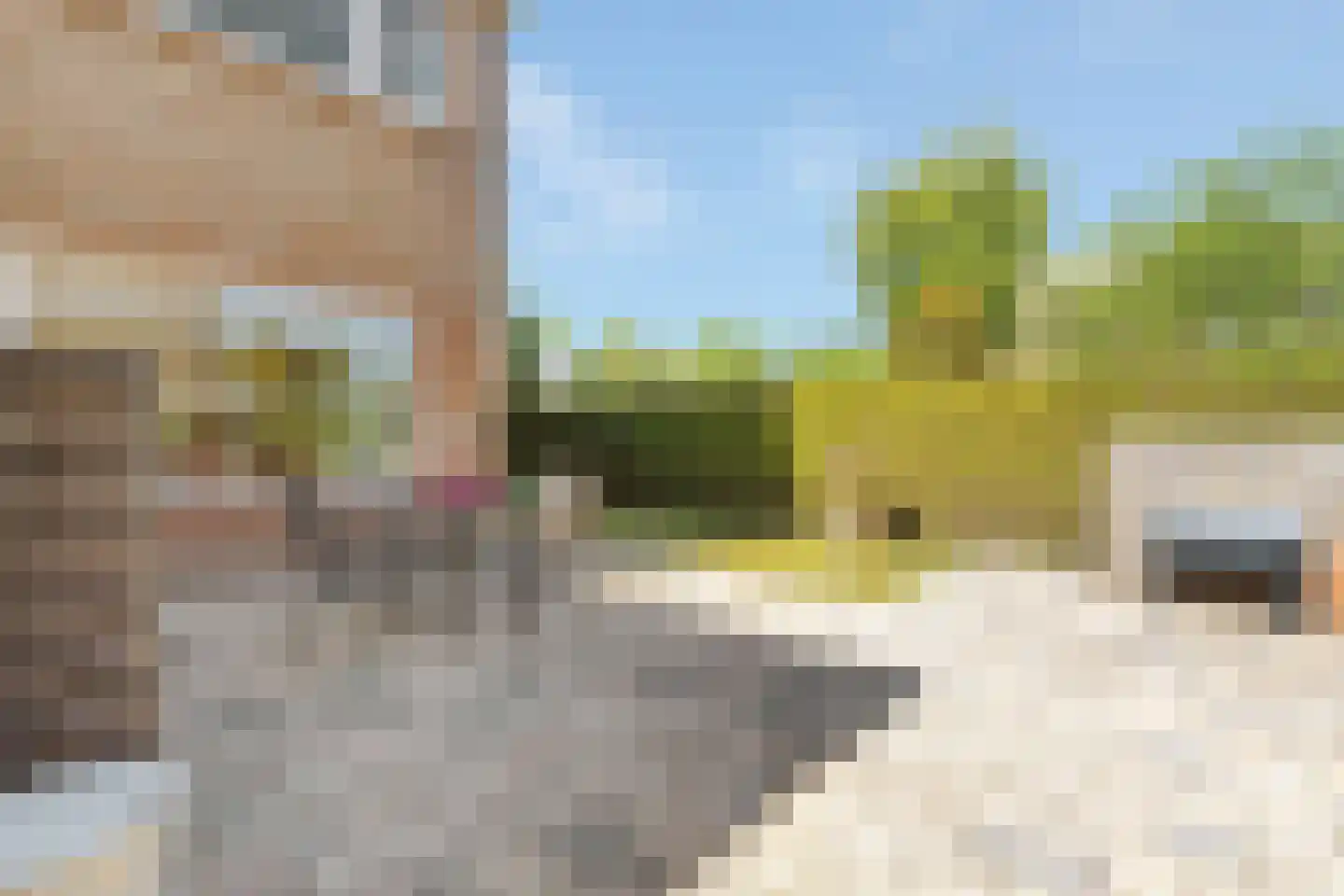 Zuidsingel 91 Kortenhoef thumbnail 6
