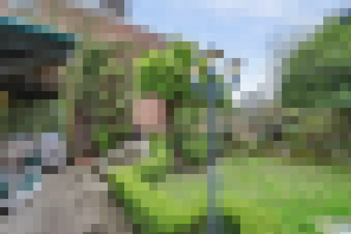 Zuidster 51 Puttershoek thumbnail 37