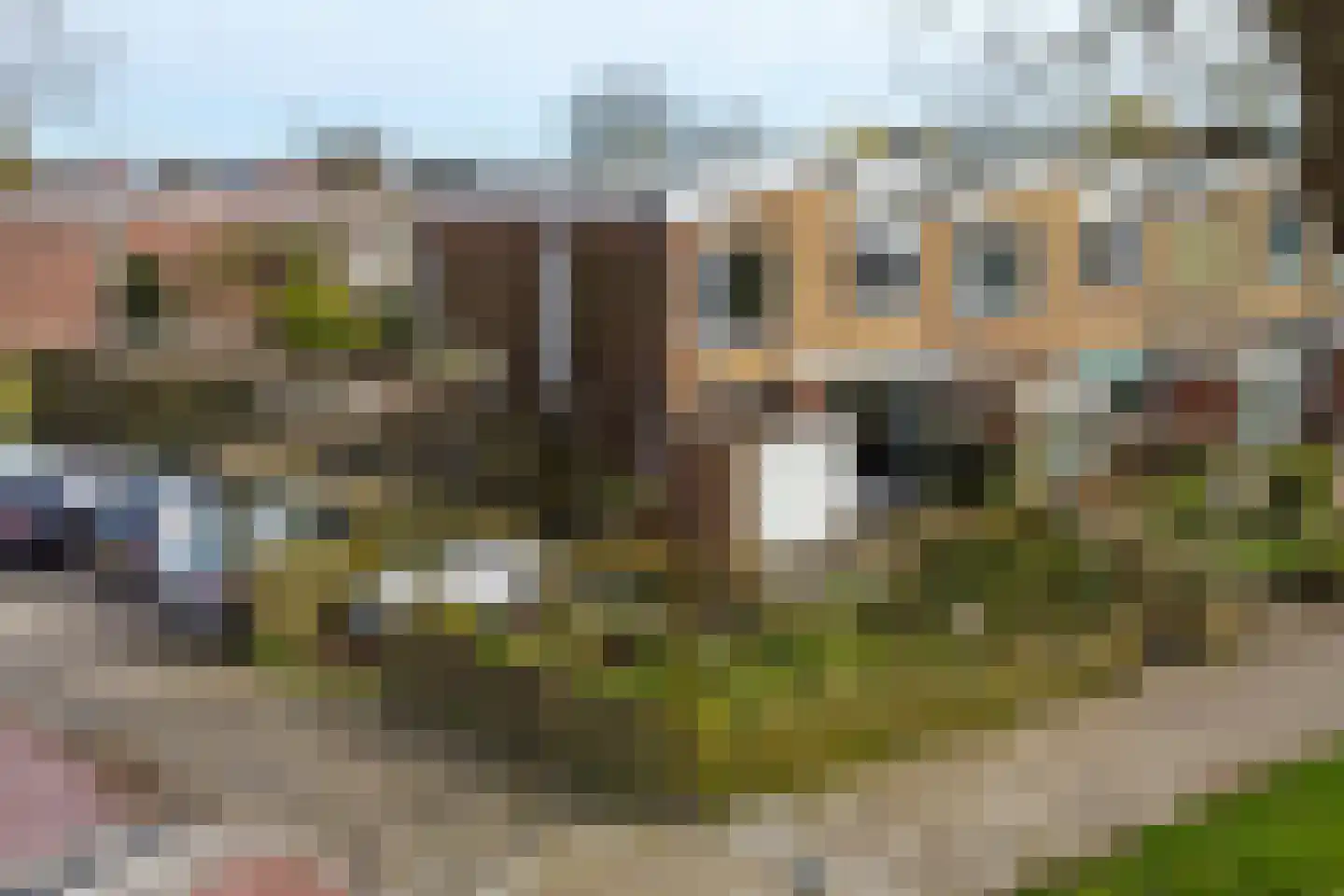 Zuidster 51 Puttershoek thumbnail 49