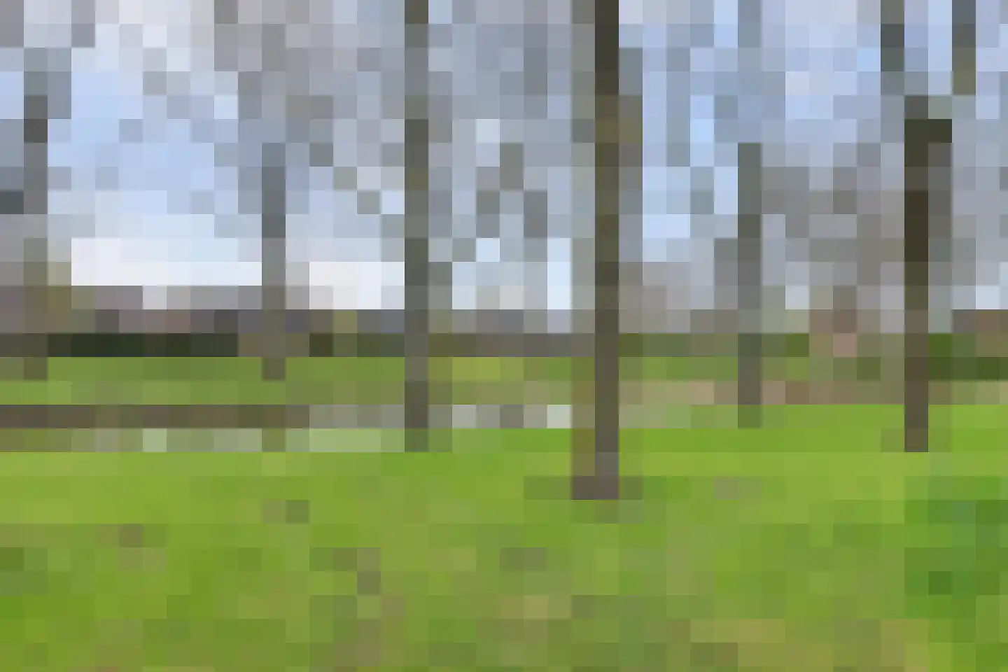 Zuidster 51 Puttershoek thumbnail 6