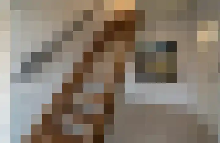 Zuidstraat 1 Poortvliet thumbnail 35