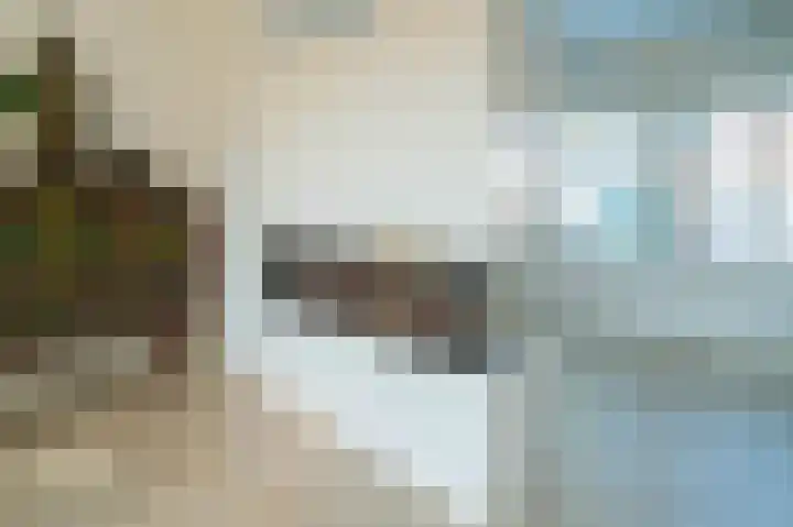 Zuidstraat 1 Poortvliet thumbnail 9