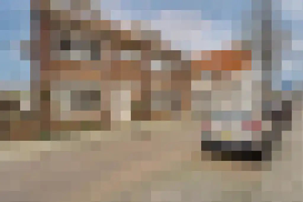 Zuidstraat 105 Katwijk thumbnail 33