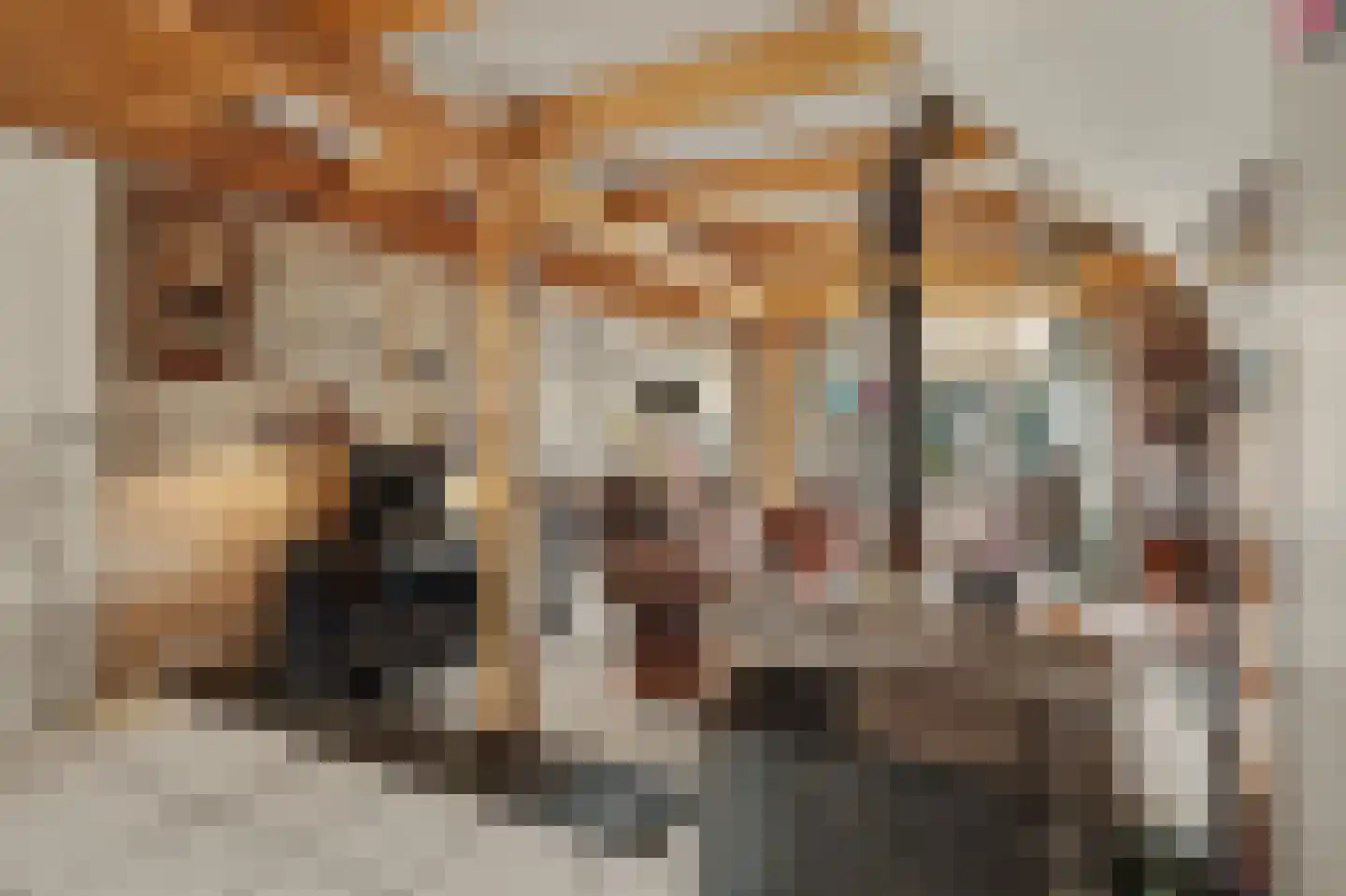 Zuidstraat 12 Ouwerkerk thumbnail 12