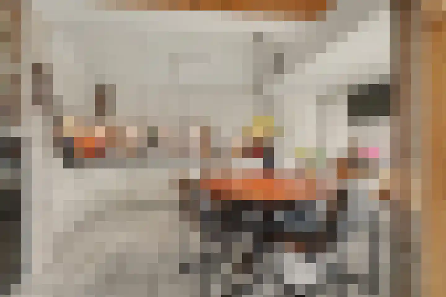 Zuidstraat 12 Ouwerkerk thumbnail 17