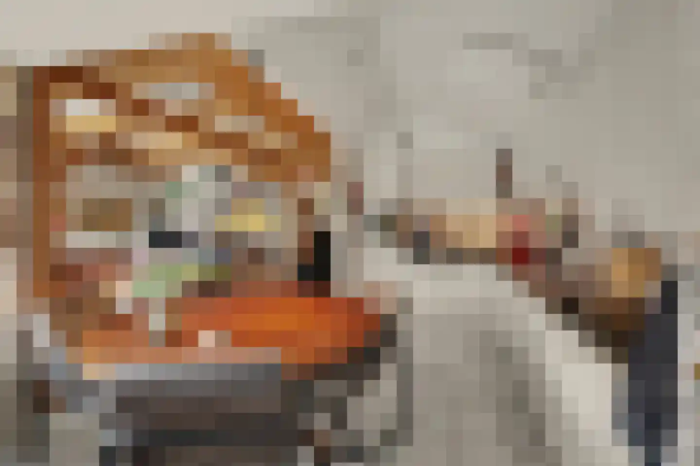 Zuidstraat 12 Ouwerkerk thumbnail 18