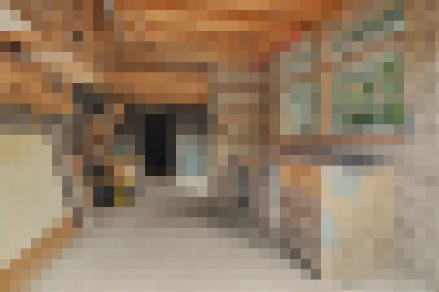 Zuidstraat 12 Ouwerkerk thumbnail 30