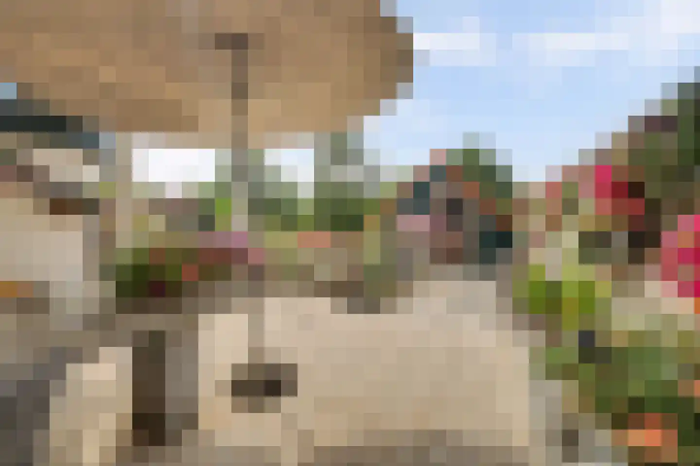 Zuidstraat 12 Ouwerkerk thumbnail 33