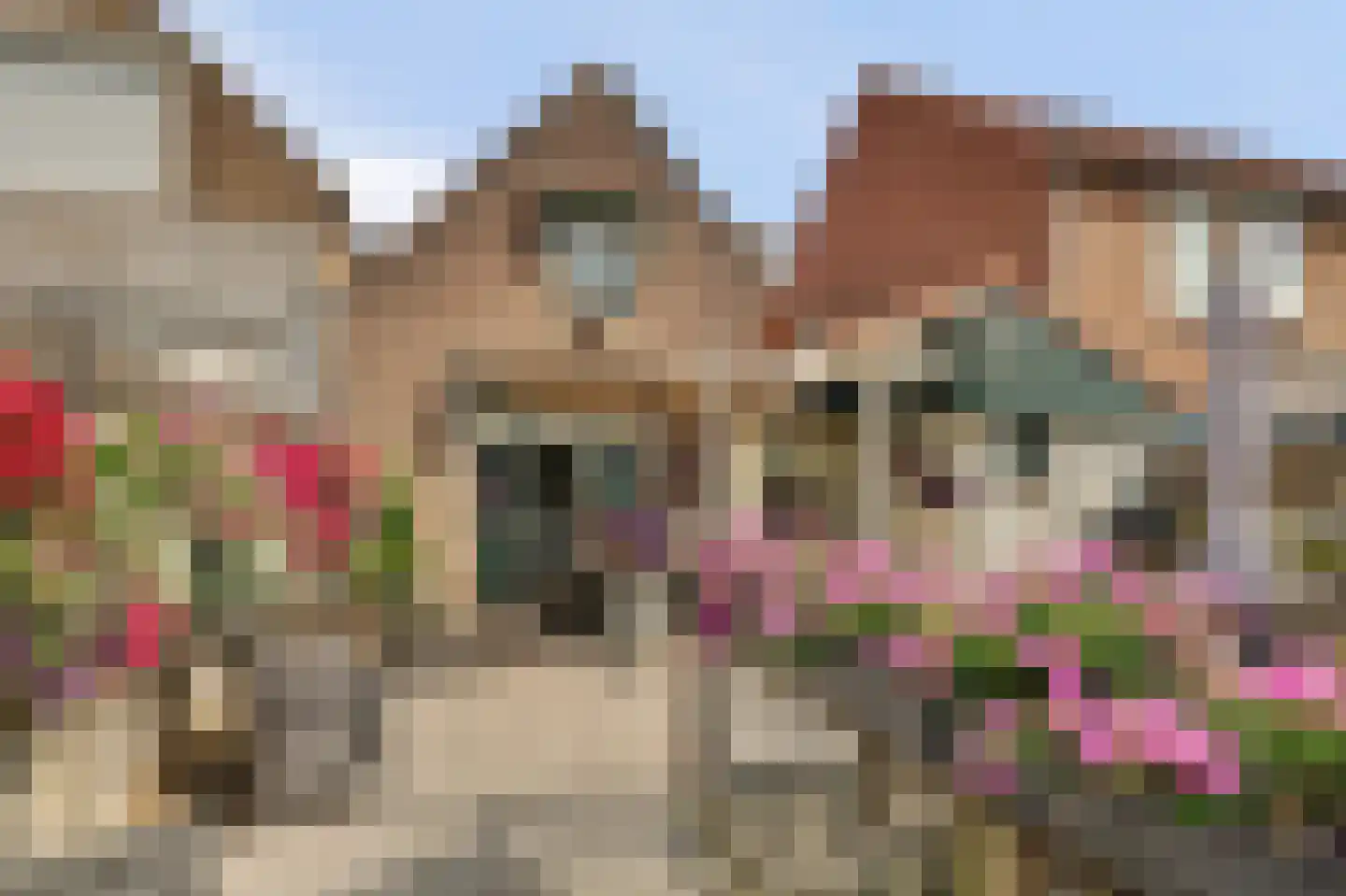Zuidstraat 12 Ouwerkerk thumbnail 35