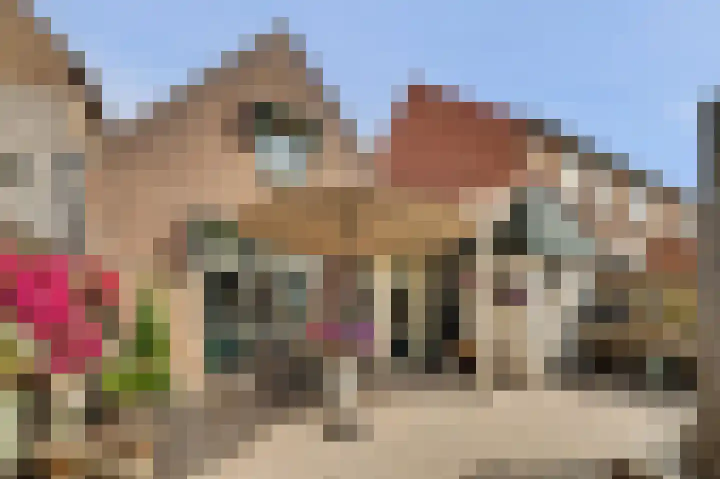 Zuidstraat 12 Ouwerkerk thumbnail 36