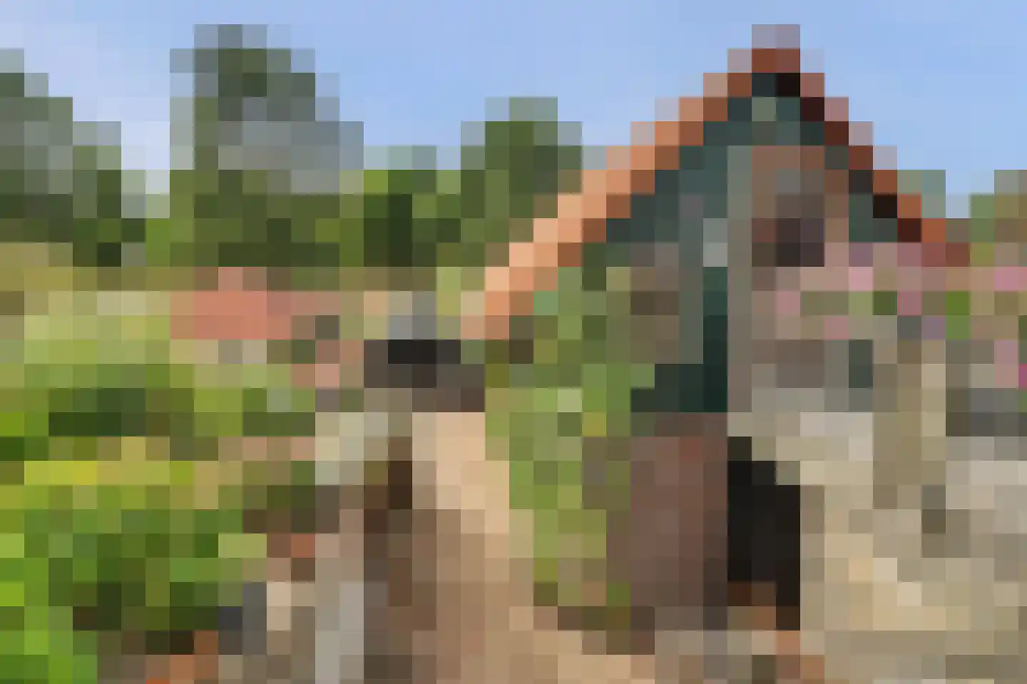 Zuidstraat 12 Ouwerkerk thumbnail 38