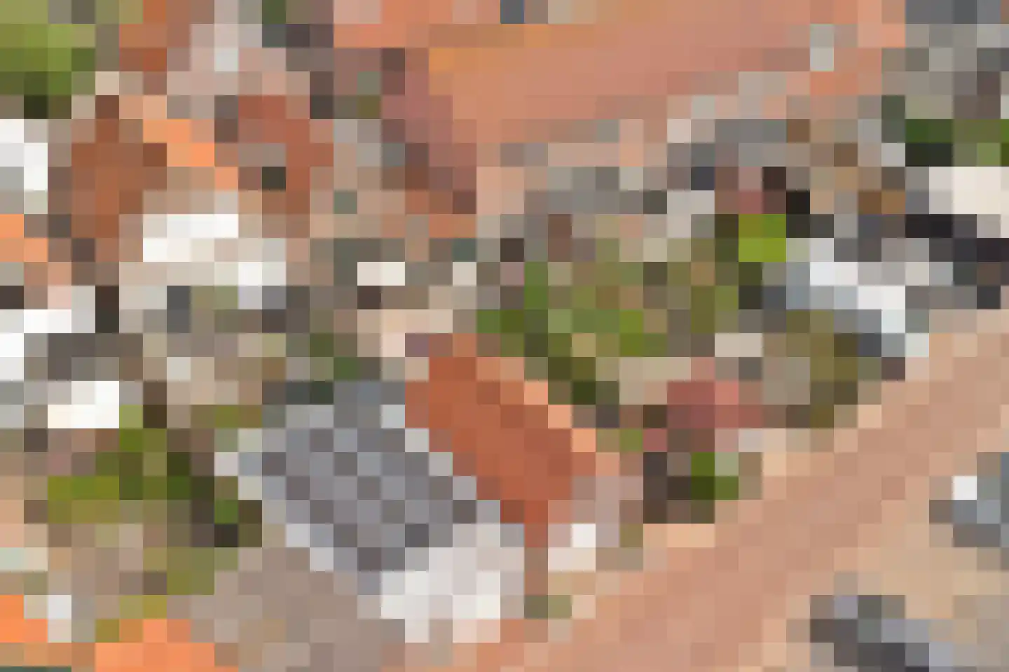 Zuidstraat 12 Ouwerkerk thumbnail 54