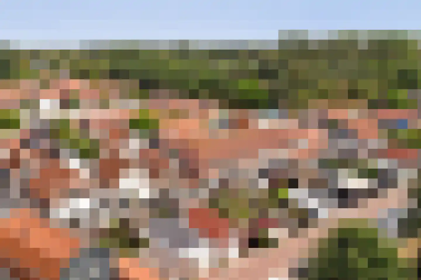 Zuidstraat 12 Ouwerkerk thumbnail 55