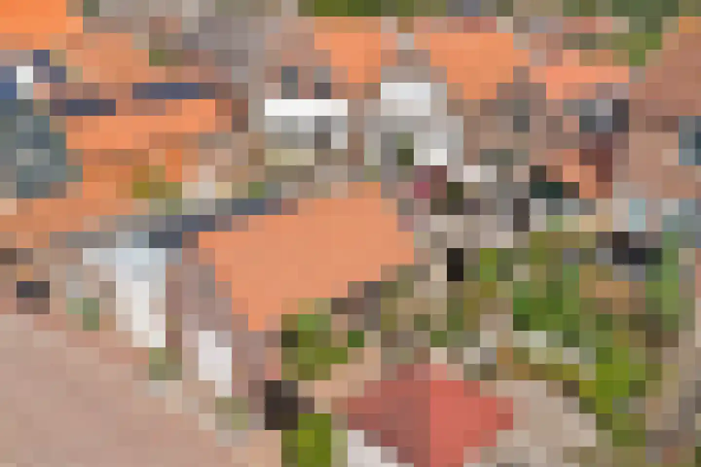 Zuidstraat 12 Ouwerkerk thumbnail 56