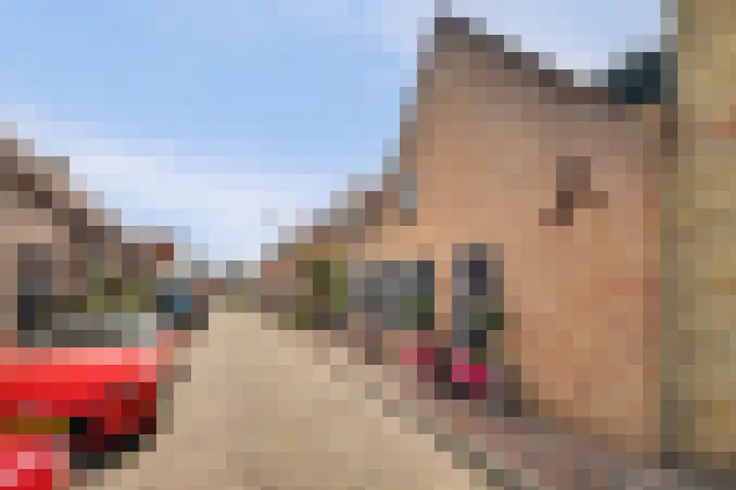 Zuidstraat 12 Ouwerkerk thumbnail 6