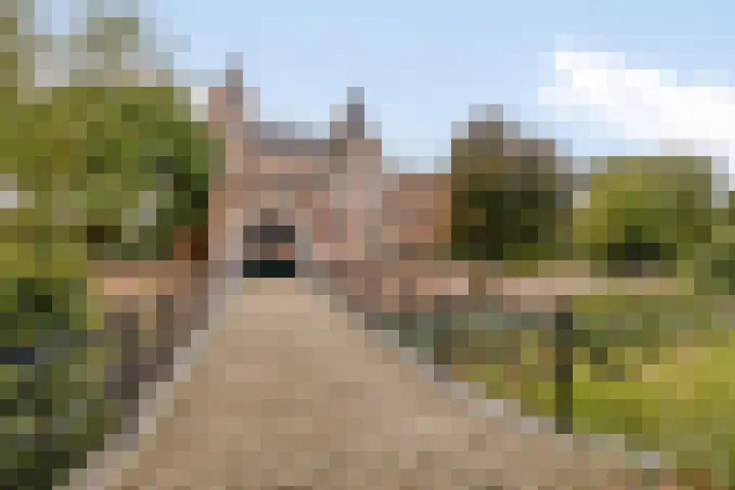 Zuidstraat 20 Burgh-Haamstede thumbnail 29