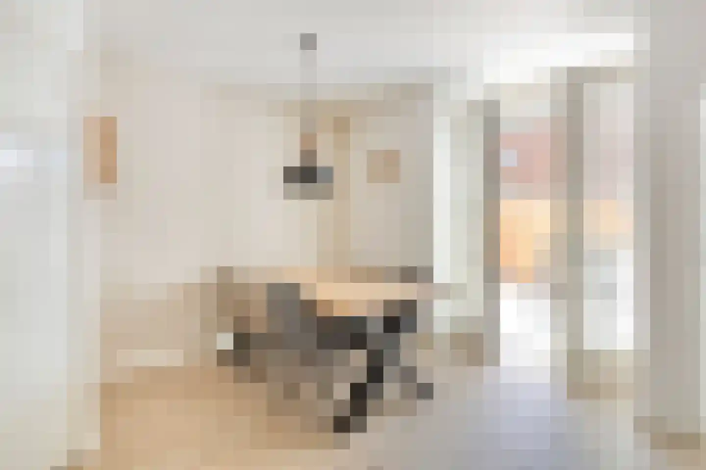 Zuidstraat 20 Burgh-Haamstede thumbnail 8