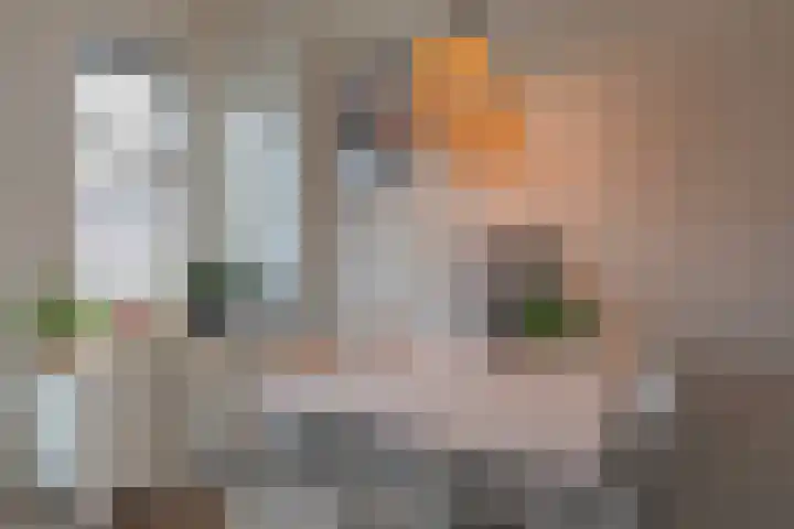 Zuidstraat 21 Wissenkerke thumbnail 10