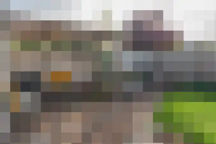 Zuidstraat 21 Wissenkerke thumbnail 31