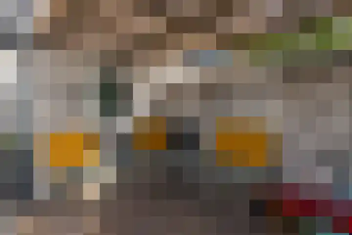 Zuidstraat 21 Wissenkerke thumbnail 32
