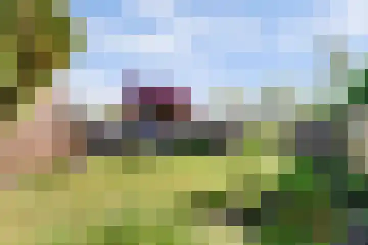 Zuidstraat 23 Wissenkerke thumbnail 30