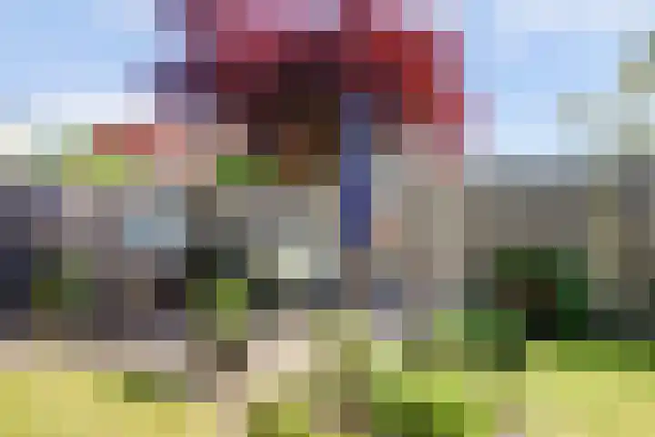 Zuidstraat 23 Wissenkerke thumbnail 31