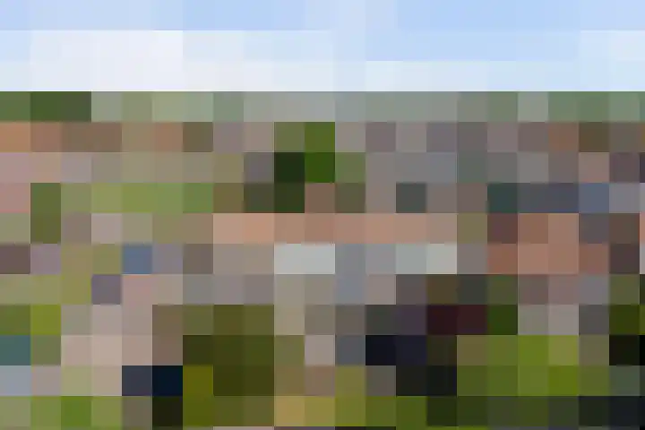 Zuidstraat 23 Wissenkerke thumbnail 35