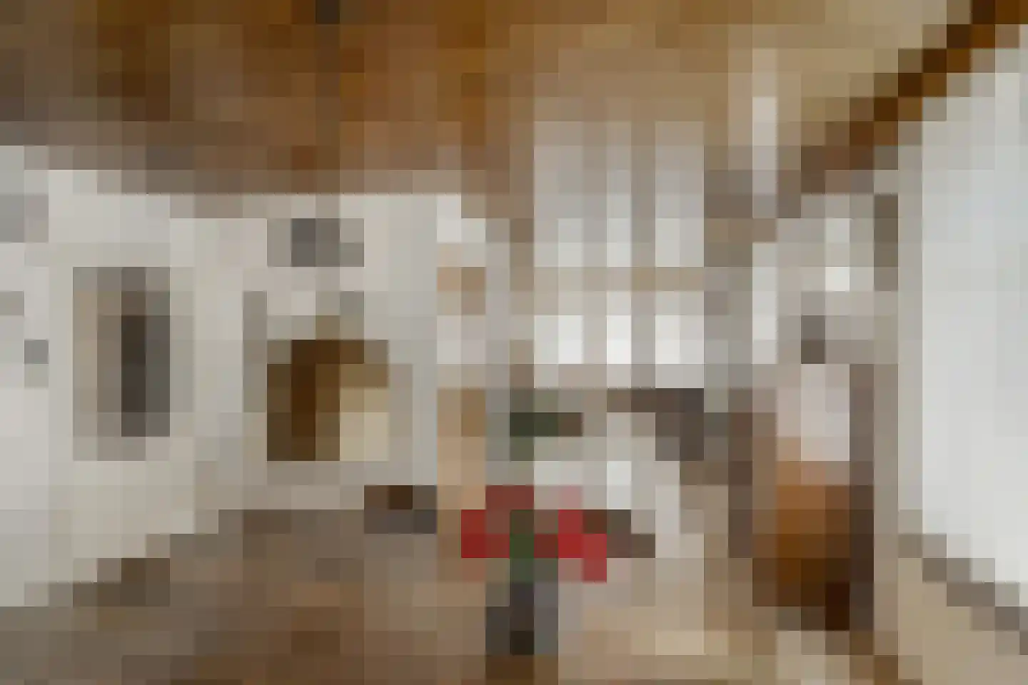Zuidstraat 52 Katwijk thumbnail 7
