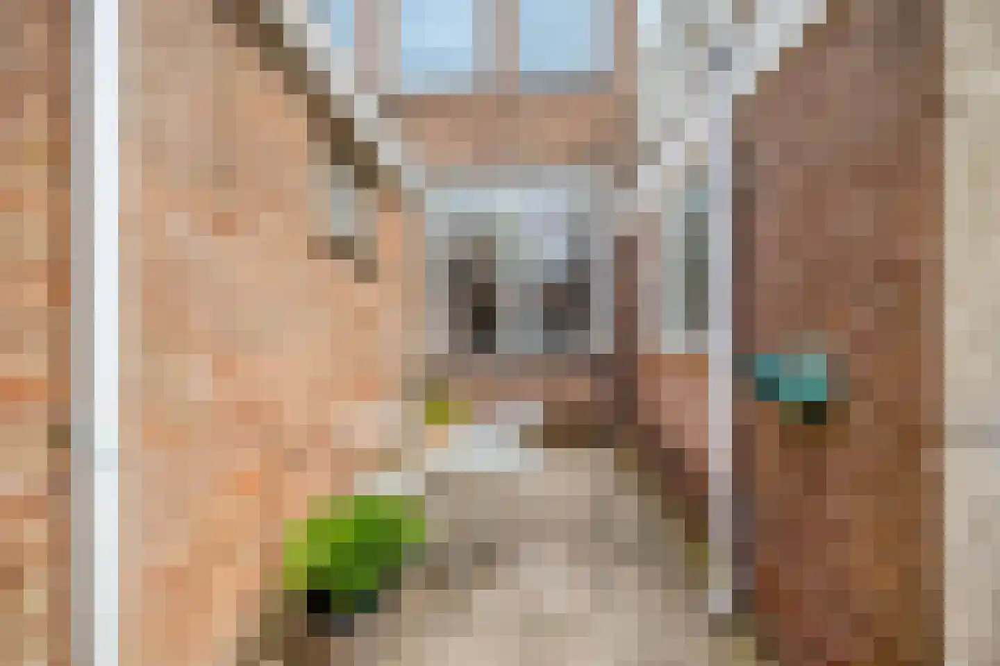 Zuidstraat 59 A Den Helder thumbnail 21