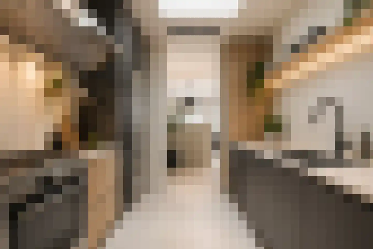 Zuidstraat 83 Den Helder thumbnail 7