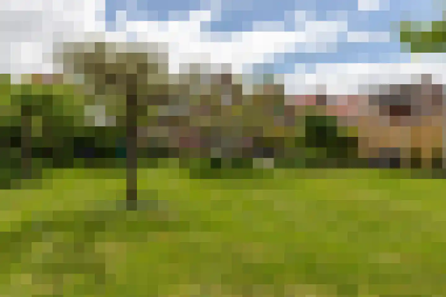 Zuidveenseweg 50 Zuidveen thumbnail 55