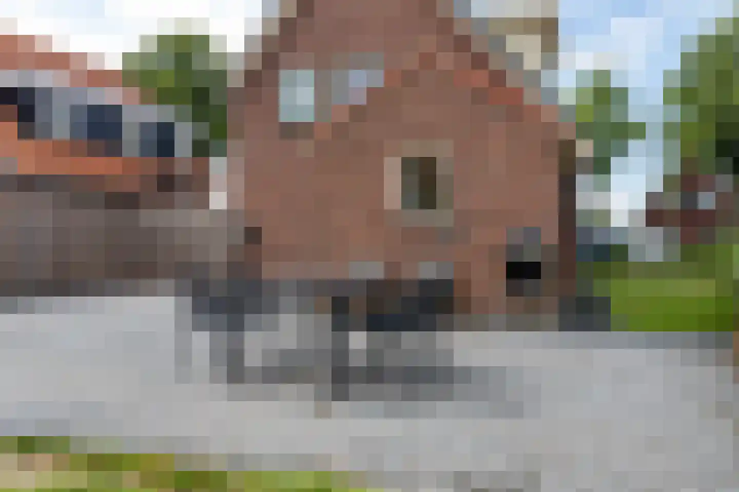 Zuidveenseweg 65 Zuidveen thumbnail 49