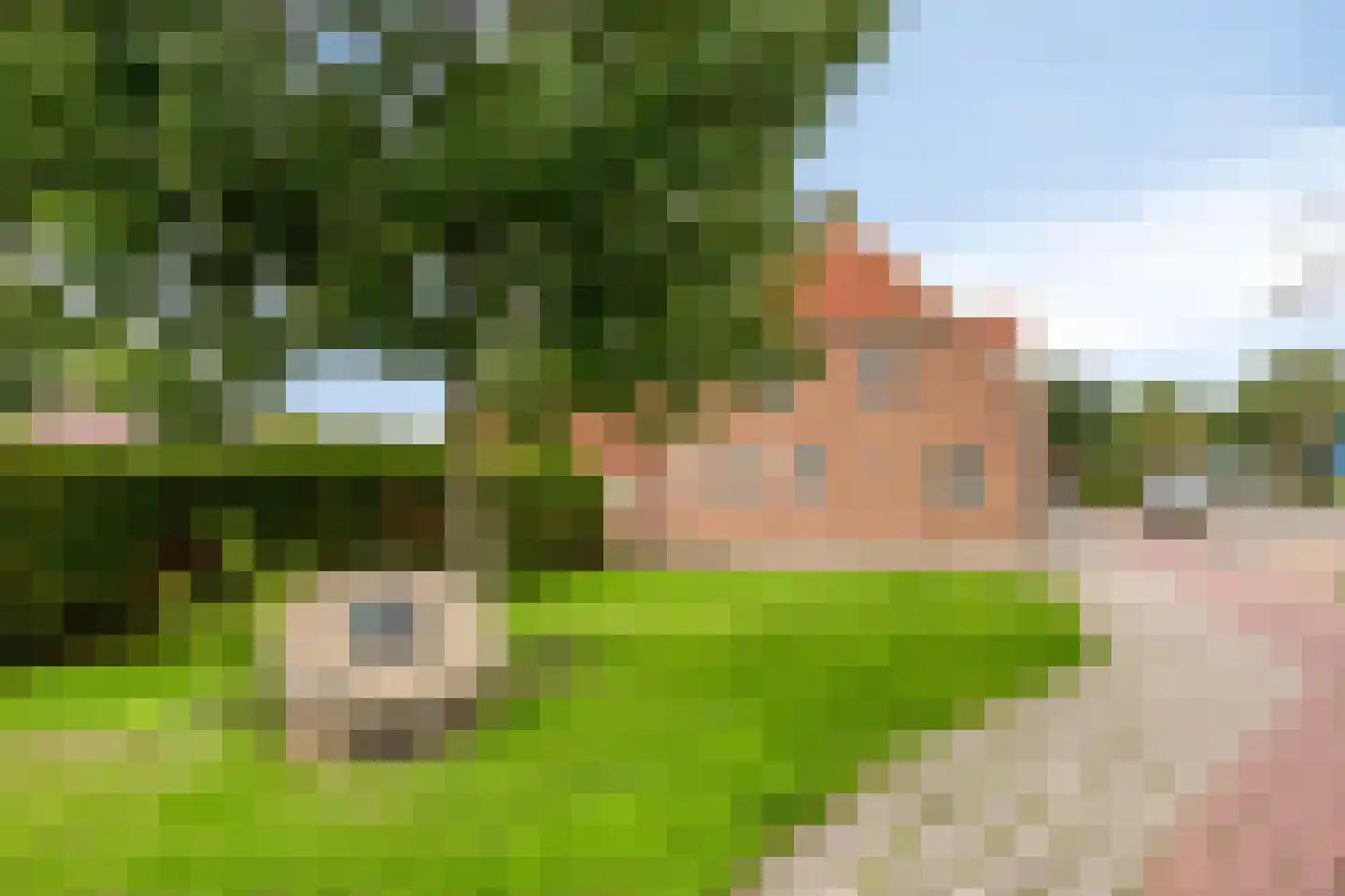 Zuidveenseweg 79 Zuidveen thumbnail 33