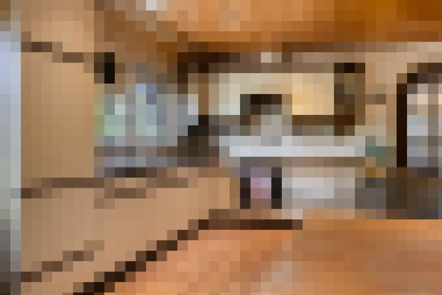 Zuidveldigerweg 1 Peest thumbnail 15