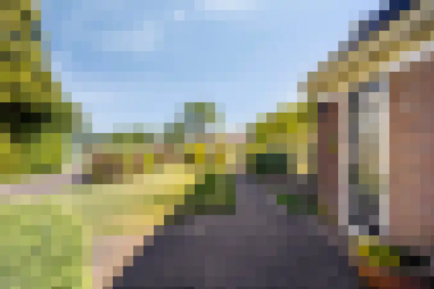 Zuidveldigerweg 1 Peest thumbnail 34