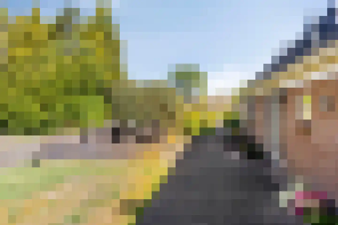 Zuidveldigerweg 1 Peest thumbnail 35