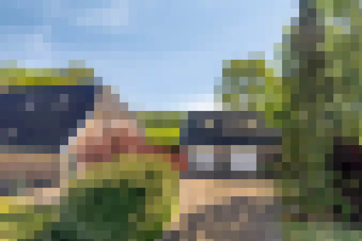 Zuidveldigerweg 1 Peest thumbnail 37